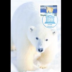 CM CEF - UNESCO, l'ours...