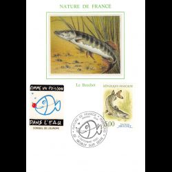 Carte maximum - Poisson -...