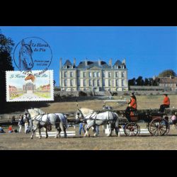 CM CEF - Le haras du Pin...