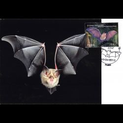 CM - Les chauves-souris, grand Rhinolophe, oblit 19/4/13 Paris