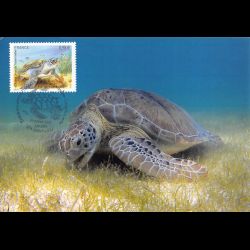 CM - La tortue verte, oblit...