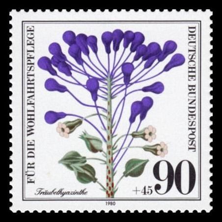 Timbre Allemagne fédérale n° 908 Neuf sans charnière 