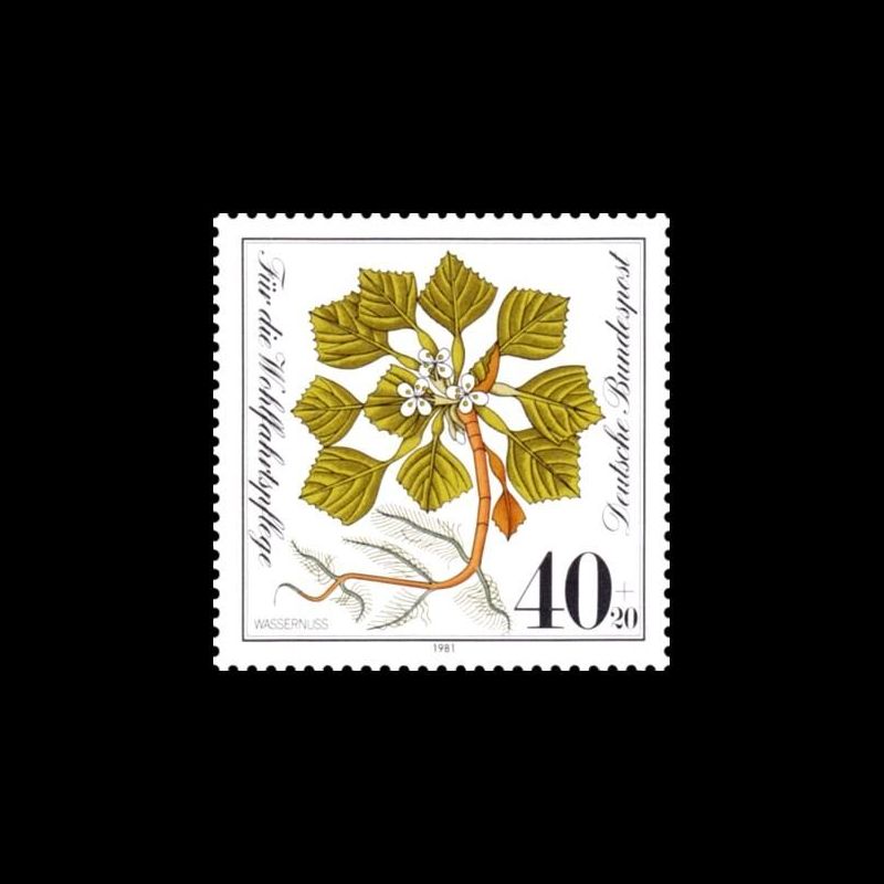 Timbre Allemagne fédérale n° 940 Neuf sans charnière 