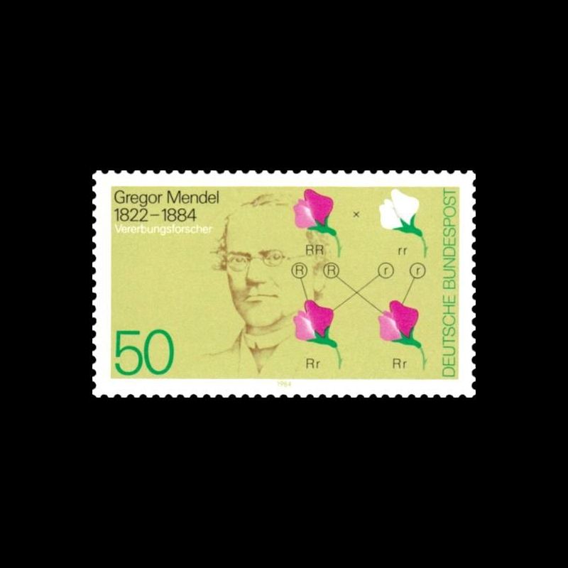 Timbre Allemagne fédérale n° 1031 Neuf sans charnière 