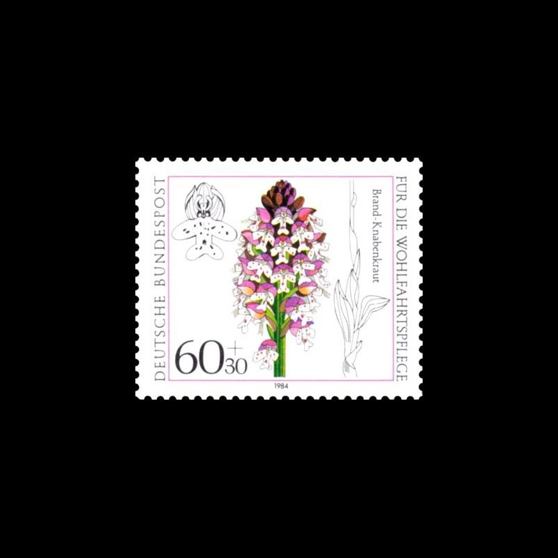 Timbre Allemagne fédérale n° 1059 Neuf sans charnière 