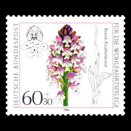 Timbre Allemagne fédérale n° 1059 Neuf sans charnière 