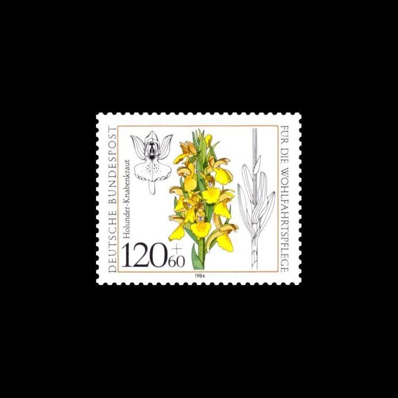 Timbre Allemagne fédérale n° 1061 Neuf sans charnière 