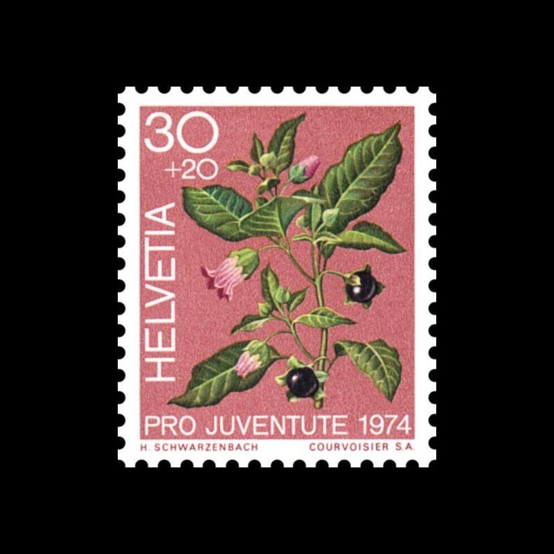 Timbre de Suisse N° 973 Neuf sans trace de charnière 
