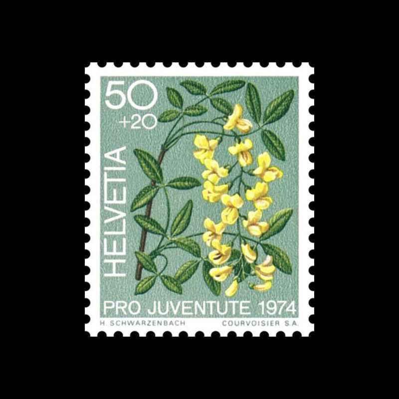 Timbre de Suisse N° 974 Neuf sans trace de charnière 