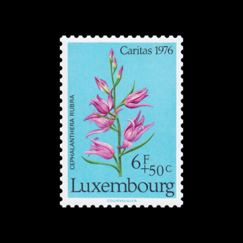 Timbre du Luxembourg n° 0888 Neuf ** 