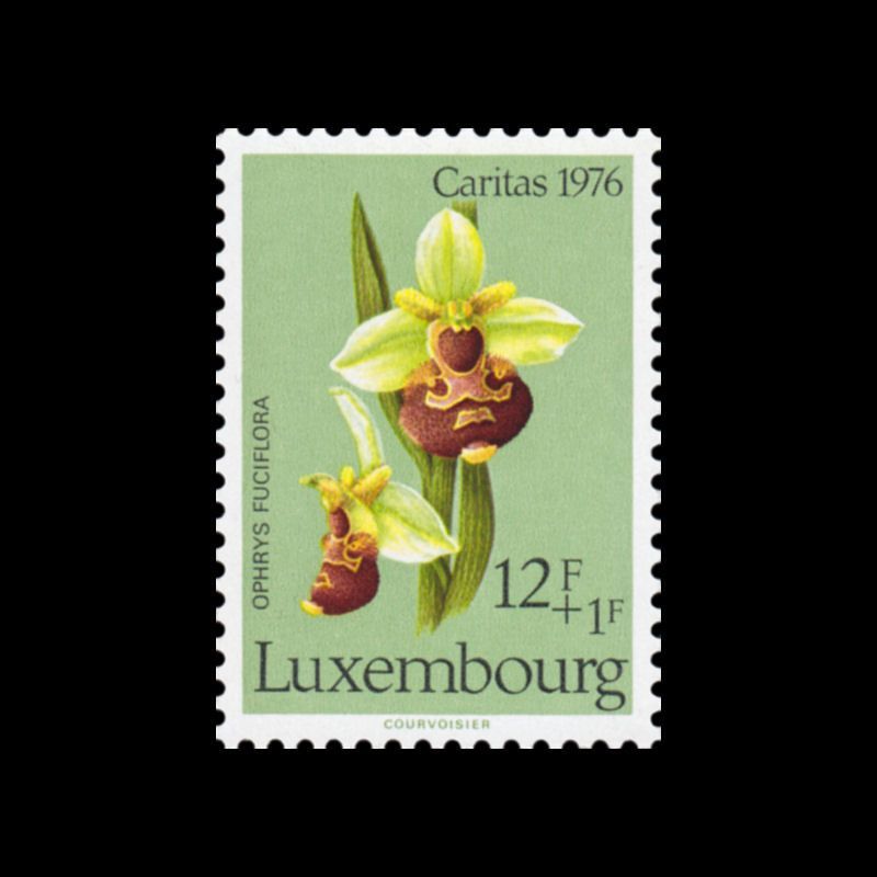 Timbre du Luxembourg n° 0889 Neuf ** 