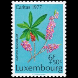 Timbre du Luxembourg n° 0909 Neuf ** 