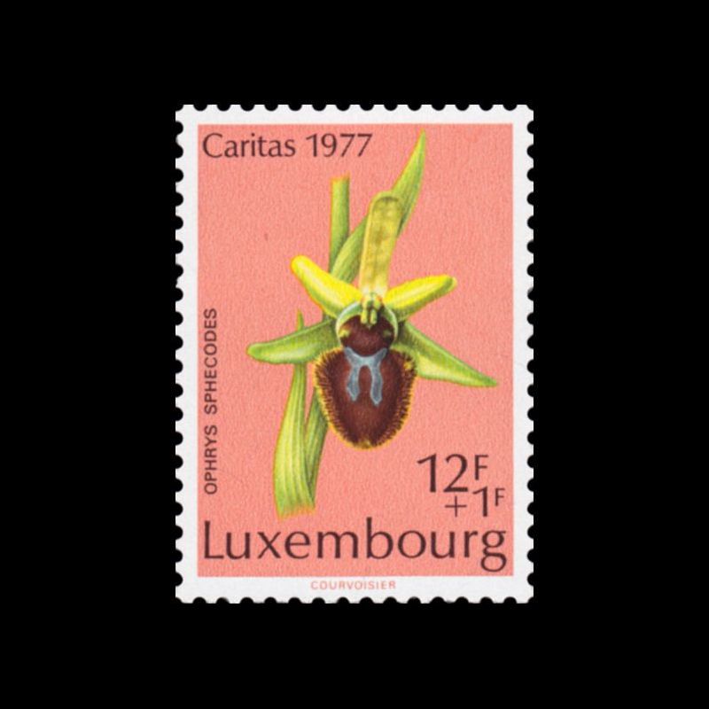 Timbre du Luxembourg n° 0910 Neuf ** 
