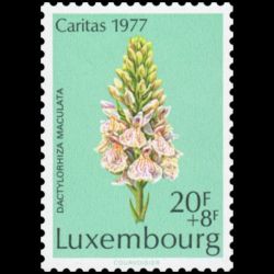 Timbre du Luxembourg n° 0911 Neuf ** 