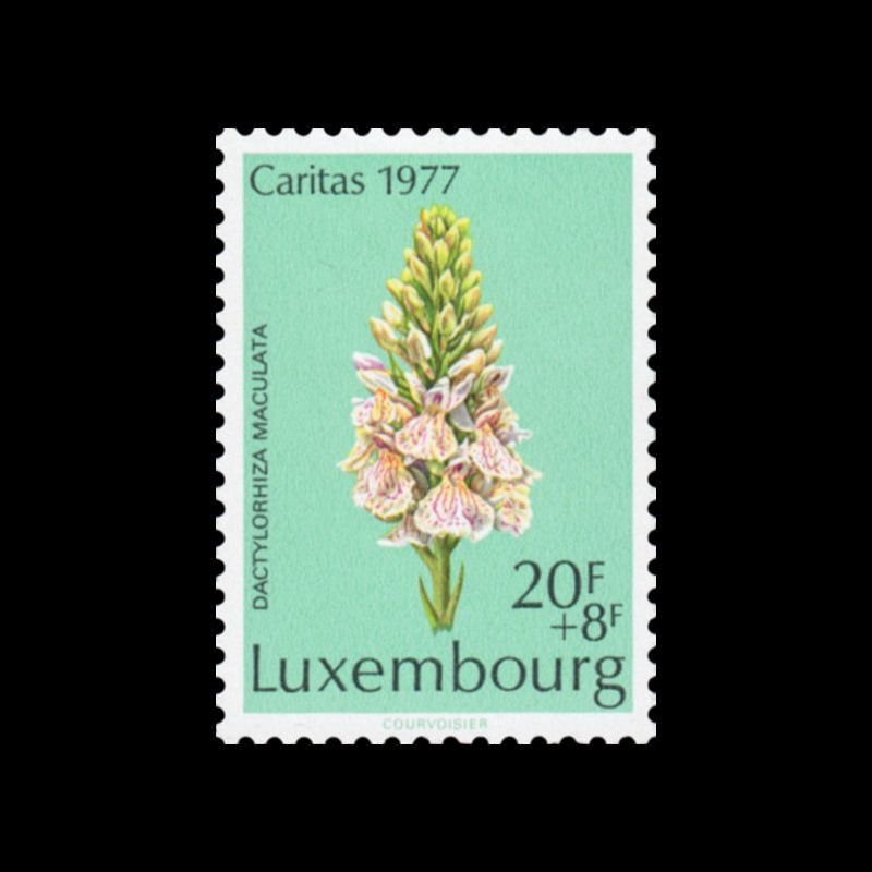 Timbre du Luxembourg n° 0911 Neuf ** 