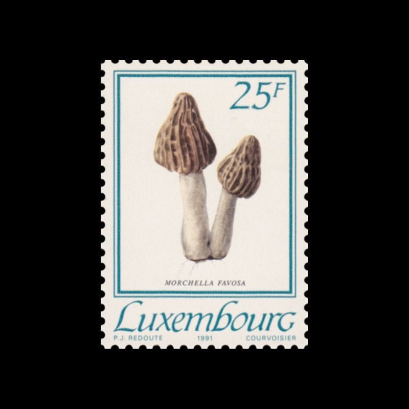 Timbre du Luxembourg n° 1220 Neuf ** 