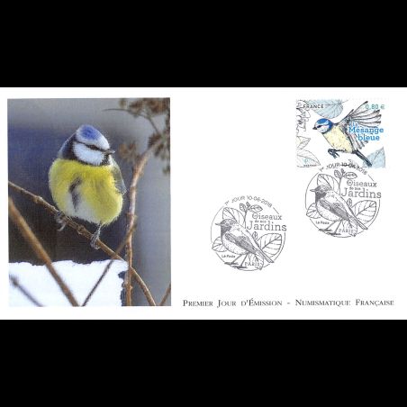 FDC LNF - Les oiseaux de nos jardins. Mésange bleue - 10/6/2018 Paris