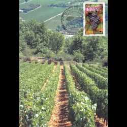 CM CEF - Les vignobles du...