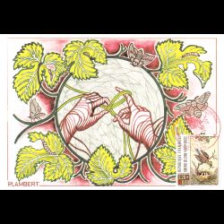 CM CEF - Croix rouge 89 -...