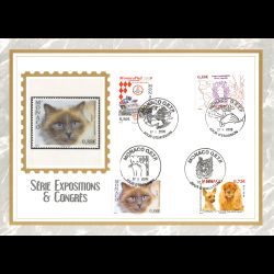 Feuillet CEF n° 258s/569 -...