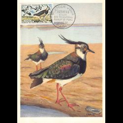 Carte maximum v2 - n° 1273...