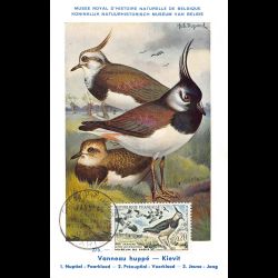 Carte maximum v3 - n° 1273...