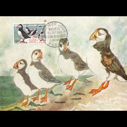 Carte maximum v4 - n° 1274...