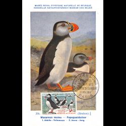 Carte maximum v6 - n° 1274a...