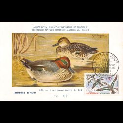 Carte maximum v4 - n° 1275...