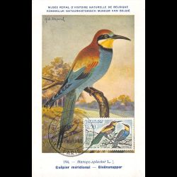 Carte maximum v5 - n° 1276...