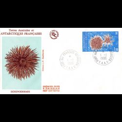 FDC - Echinodermes - oblit...