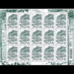 F151 - Forêt des Landes (5799)