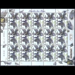 F87 - Fleurs des montagnes....