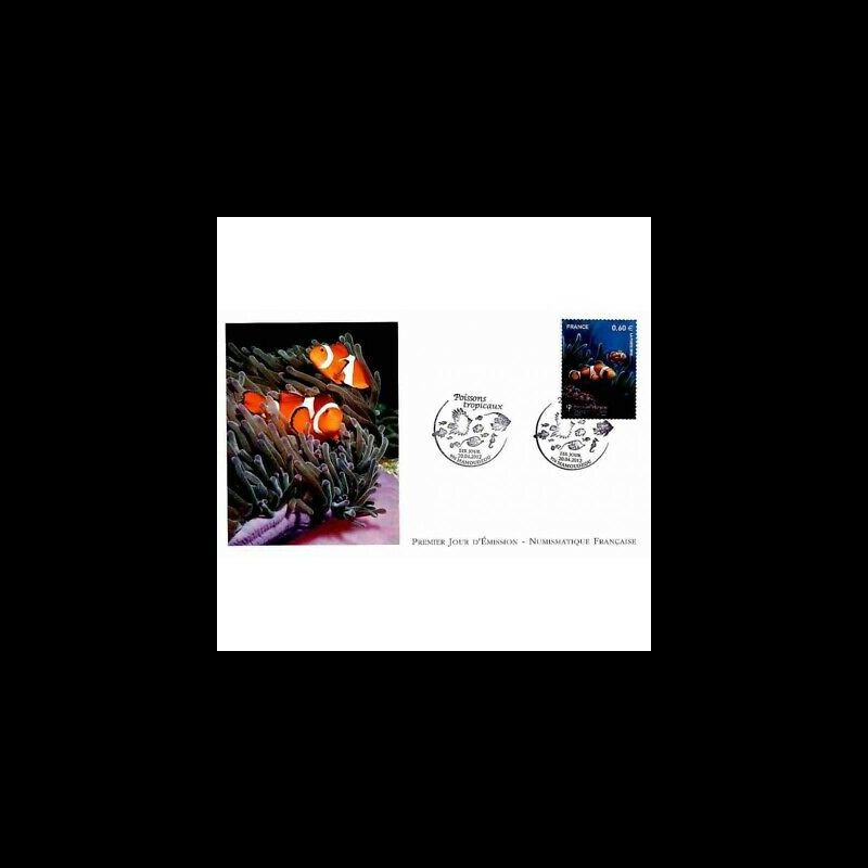 FDC LNF - Poissons tropicaux - oblit Mamoudzou 20/4/2012