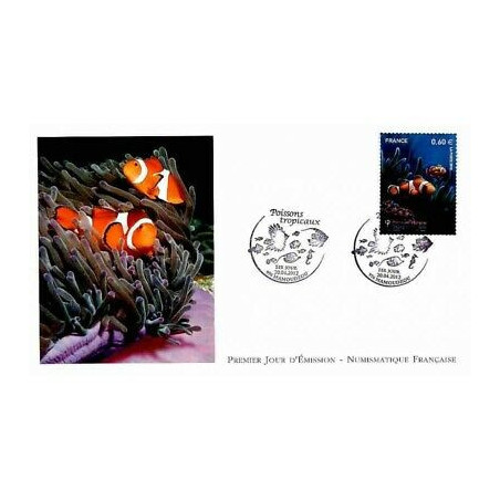 FDC LNF - Poissons tropicaux - oblit Mamoudzou 20/4/2012