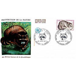FDC JF - Le raton laveur -...