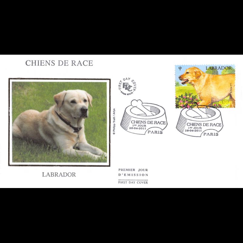 FDC soie - Chiens de race, Labrador, oblit 28/4/2011 Paris