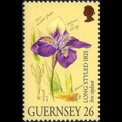 Timbre de Guernesey n°...