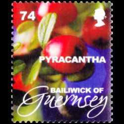 Timbre de Guernesey n° 1240...