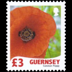 Timbre de Guernesey n° 1257...