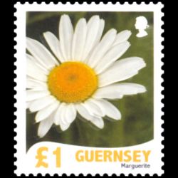 Timbre de Guernesey n° 1187...