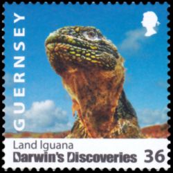 Timbre de Guernesey n° 1241...