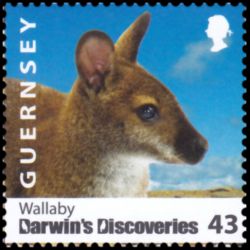 Timbre de Guernesey n° 1242...