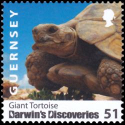 Timbre de Guernesey n° 1243...