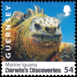 Timbre de Guernesey n° 1244...