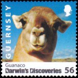 Timbre de Guernesey n° 1245...