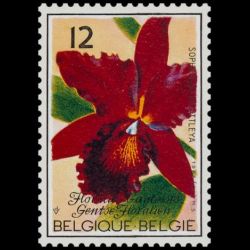 Timbre de Belgique n° 2165...