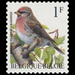 Timbre de Belgique n° 2457...