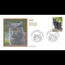 CEF - Les chats - Le...