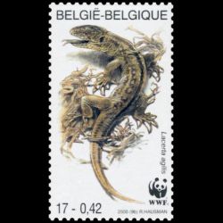 Timbre de Belgique n° 2896...